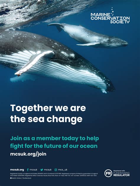 marine charities uk.